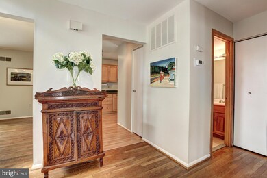 10619 Great Arbor Dr, Potomac, MD 20854 - photo 7