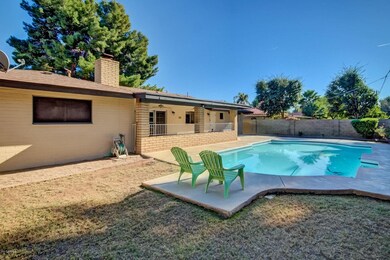 Shady back yard