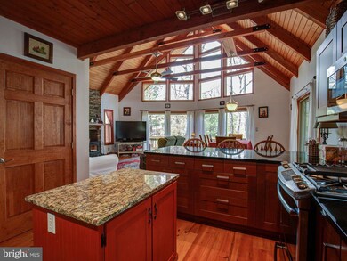 47 Indian Run Ln, Berkeley Springs, WV 25411 - photo 5