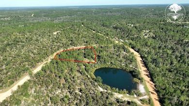 0 Richland St, Alford, FL 32420 - photo 5