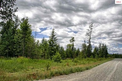 Lot B7 Northern Sky Rd, Athol, ID 83801 - photo 3