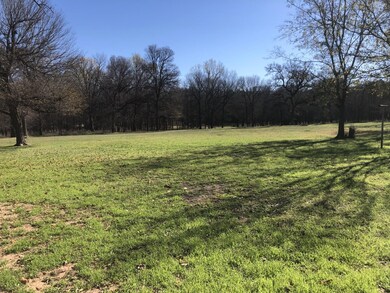 353 Iroquois Trail, Weatherford, TX 76087 - photo 4