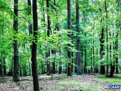 N/A Turner Mountain Rd, University, VA 22903 - photo 5