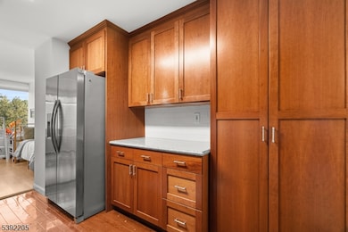 1 Claridge Dr unit 503, Verona, NJ 07044 - photo 5