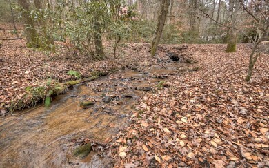 Additional View