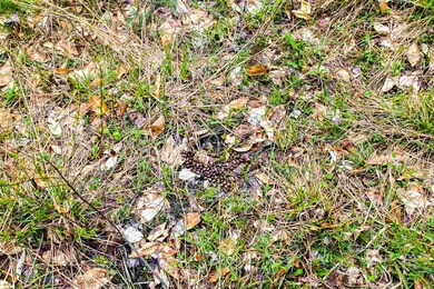 305 Dolan Rd, Northfield, VT 05663 - photo 6