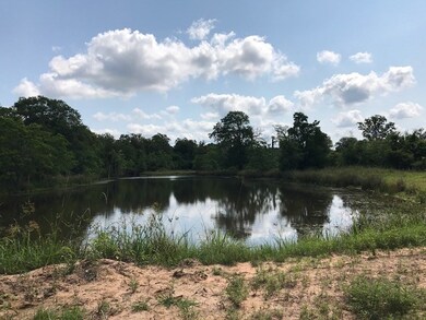 29700 Joseph Rd, Hockley, TX 77447 - photo 6