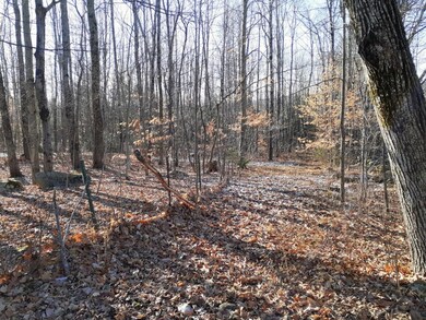20211201_101555_resized
