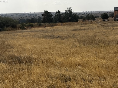 0 N Hwy 97 unit 676024109, Shaniko, OR 97057 - photo 3