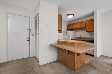 9-web-or-mls-DSC03735