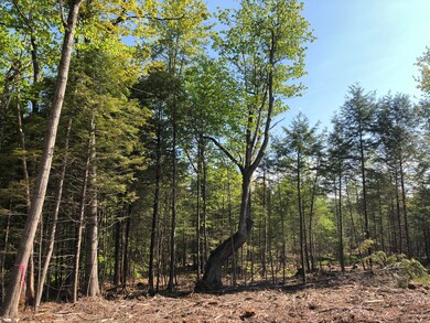 Map12/L19 Augusta Rd, Bowdoin, ME 04287 - photo 4