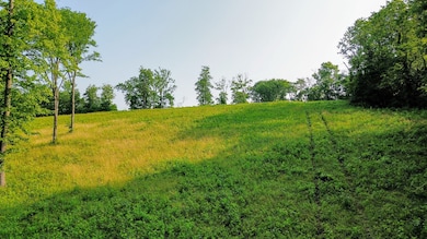 0 Hwy 64 W, Pulaski, TN 38478 - photo 2