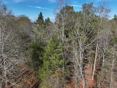 2821 State Road S-4-108, Anderson, SC 29624 - photo 6