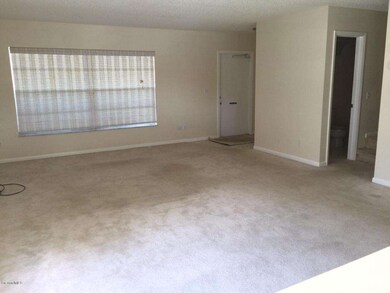 Large Open Plan