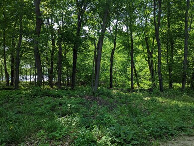 Lot 1 Honeysuckle Ln SW, Kensington, MN 56343 - photo 2