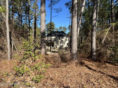 16080 Cardinal Ct, Wagram, NC 28396 - photo 5