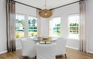 214 Camellia Bloom Dr, Moncks Corner, SC 29461 - photo 5