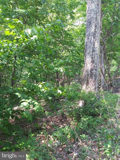 60 High Mountain View Rd, Three Chrs, WV 26757 - photo 2