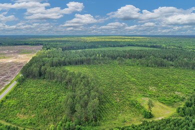 DJI_0627