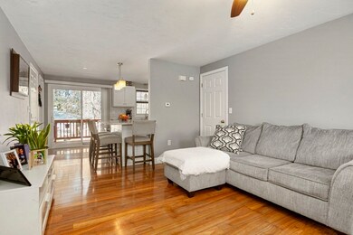 3 Pouliot St, Milford, MA 01757 - photo 5