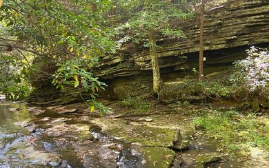 Additional View