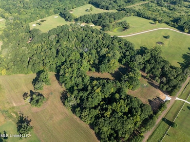 0 Cane Creek Rd unit 4132142, Flora, MS 39071 - photo 4