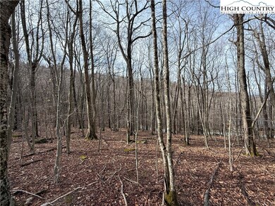 109 Hawthorne Rd, Beech Mountain, NC 28604 - photo 5