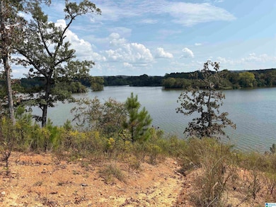 0 Lake Point Dr unit 306 21431290, Lincoln, AL 35096 - photo 2