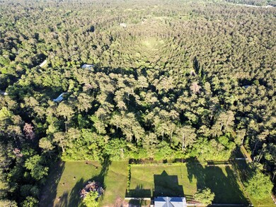 TBD Lloyd Ln, Hockley, TX 77447 - photo 4