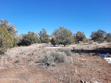 Lot 1423 Bridge Canyon Country Estates, Seligman, AZ 86337 - photo 6