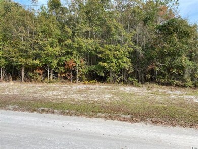 TBD Horsecreek Rd, Aynor, SC 29511 - photo 4