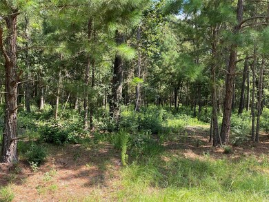 24340 Oak Hollow Blvd, Hockley, TX 77447 - photo 2