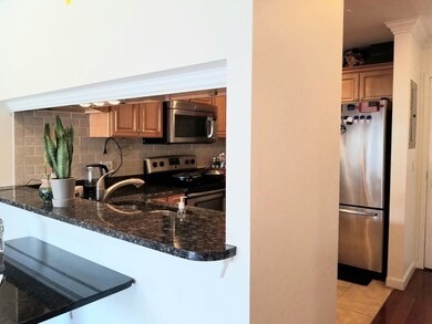 The Montclair Condominiums unit 217, Quincy, MA 02171 - photo 7