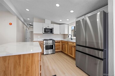 197 Pinto St, Golden, CO 80401 - photo 5