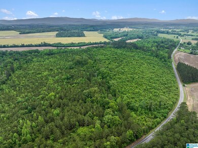 0 County Road 12 unit 21419015, Centre, AL 35960 - photo 6