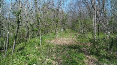 Trail beside the creek.