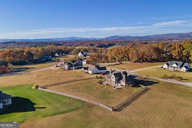 652 Meadow Run Ct, Clarkesville, GA 30523 - photo 5