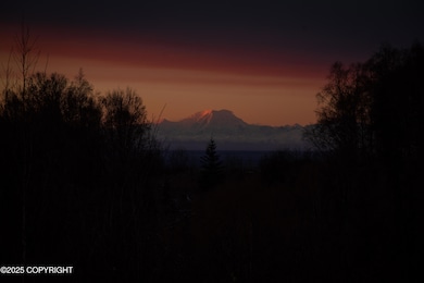 Copy of DSC_1353