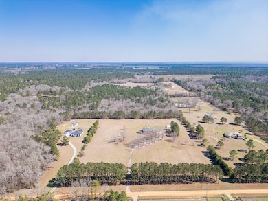 5377 Goose Hollow Rd, Dawson, GA 39842 - photo 3