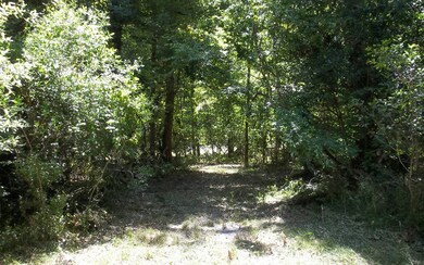 unlisted-address, Fort White, FL 32038 - photo 3