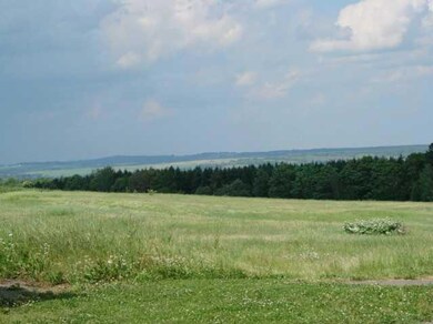 Land/Lot.