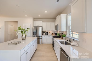 140 Pampas Place unit BF5 123, Statesville, NC 28625 - photo 6