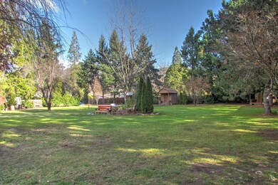 Front Yard (crop)