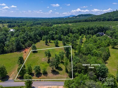 Lot 36 Mapleton Ln, Columbus, NC 28722 - photo 6
