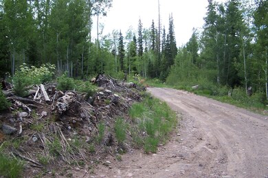 91 S Spring Cir unit SHC u-C b-F lot 19, Brian Head, UT 84719 - photo 7