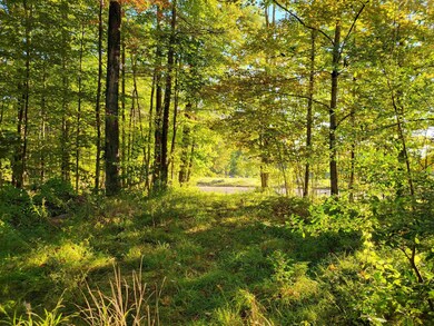 0 Tuftonboro Neck Rd unit 4905188, Tuftonboro, NH 03816 - photo 3