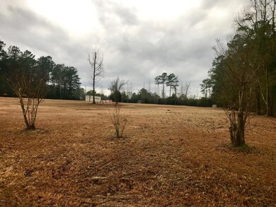 2 Acres on Old Sidney Rd