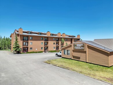 DJI_0216
