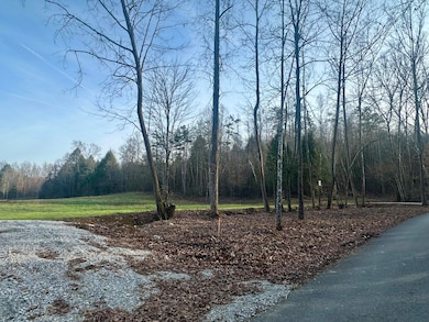 Lot 4 Radford Rd, East Bernstadt, KY 40729 - photo 3