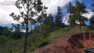 4820 Limestone Rd, Monument, CO 80132 - photo 6